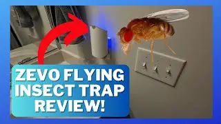 Zevo Flying Insect Trap Review - Does it work to get rid of fruit flies, gnats, drain flies?