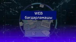 Мамандық таңдайтын уақыт. «Веб бағдарламашы» мамандығы