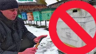 С каких ульев не нужно начинать пчеловодство. Пасека для начинающих.