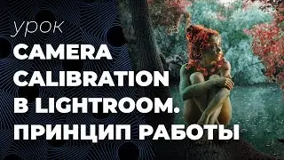 Camera Calibration в Lightroom - принцип работы