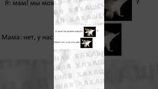 #приколы
