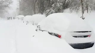 'Snowzilla' Massive blizzard paralyzes eastern US