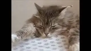 к/ф 