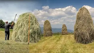 Making Haystacks by Hand in Romania