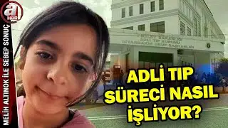 91 numune otopsi incelemesinde... Adli Tıp süreci nasıl işliyor? | A Haber