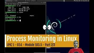 Monitoring Processes in Linux (ps, pgrep, top, free, uptime, ...)