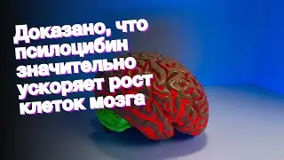 Доказано, что псилоцибин значительно ускоряет рост клеток мозга