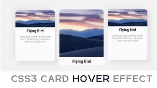 CSS Card Hover Effect - How To Make OnlyUsing Html and CSS