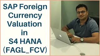 SAP Foreign Currency Valuation in S4 HANA (FAGL_FCV)