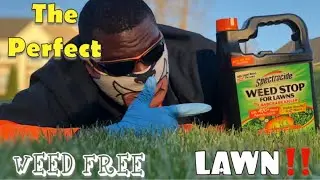 How to get The perfect Weed FREE lawn in 10 minutes plus how to use Spectracide Weed Stop for Lawns