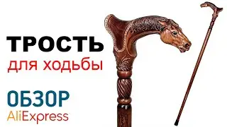 ТРОСТЬ С АЛИЭКСПРСС Обзор трость с рукоятью в виде головы лошади