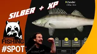 Russian Fishing 4 - ZANDER - Silber am Wolchow