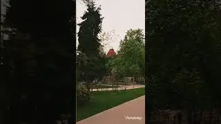⚘️Я б тут жила!