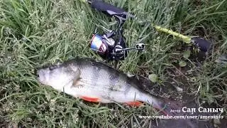 Знакомство со спиннингом Maximus Ichiro 18UL 1.8м 1-7г и катушкой DAIWA 18 NINJA LT2000