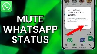 How To Mute Status On WhatsApp - Full Guide