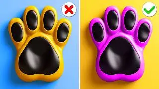 Pet House Faceoff: Catnap🐱 vs Dogday🐶 - One Colored Challenge! 🏠🎨