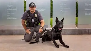 Max’s Law memorializes fallen Missouri police dog by increasing punishments for harming law enfor...