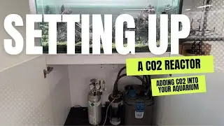 Setting Up a CO2 Reactor