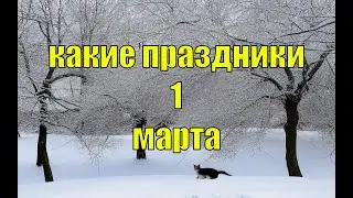 какой сегодня праздник? \ 1 марта \ праздник каждый день \ праздник к нам приходит \ есть повод