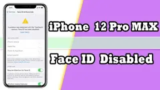 12 PRO MAX Face ID