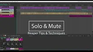 How do I solo or mute tracks in Reaper? Basic Reaper DAW tutorial.