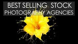 Best SELLING Stock PHOTOGRAPHY Agencies in the last 12 months