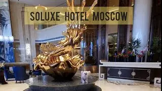 𝙎𝙊𝙇𝙐𝙓𝙀 𝙃𝙊𝙏𝙀𝙇 𝙈𝙊𝙎𝘾𝙊𝙒 (отдых с Китайской хохлатой мини)#chinesecrested #soluxe #hotel#отдыхмосква#ccd