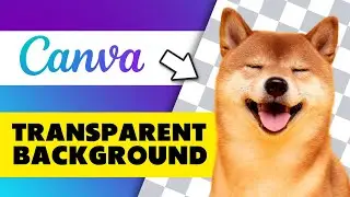 How to Make a Canva Background Transparent