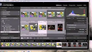 copia virtual.avi