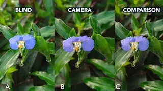 TECNO Camon 12 Pro Camera Vs Phantom 9 Vs Camon 11 Pro - Blind Camera Review & Comparison