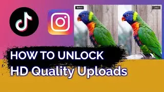 How to Upload High Quality Videos to Instagram and TikTok