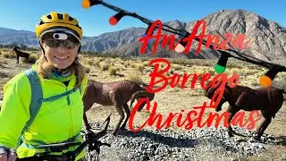 Anza Borrego for Christmas