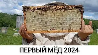 ВЕСЬ ПРОЦЕСС ОТКАЧКИ МЁДА! МЁД 2024