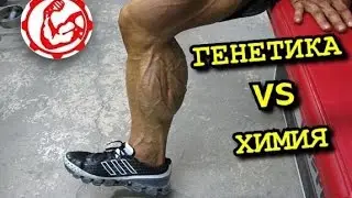 Генетика VS Химия в Бодибилдинге. Стану Арнольдом с химией? Только дурак так думает!