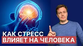 Как стресс влияет на человека. Почему женщины переносят стресс хуже, чем мужчины. Борьба со стрессом