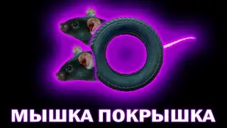 ✅По слогам - МЫШКА - ПОКРЫШКА 🐭⭕