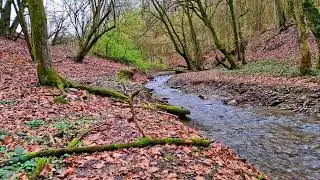 The relaxation sound of a stream against stress || The calming sound of a stream for relaxation.