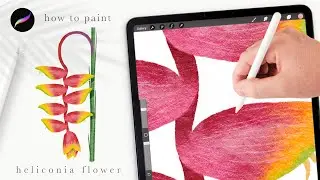 How to paint a bird of paradise flower (heliconia) 🌺   Procreate tips and tricks for beginners