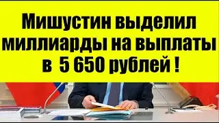 Мишустин выделил миллиарды на выплаты в 5 650 рублей!