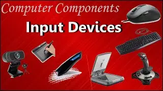 Input Devices of Computer | (Examples and purpose)