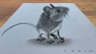 CUTE MOUSE ILLUSION - How to Draw 3D Mouse - Trick Art on Paper