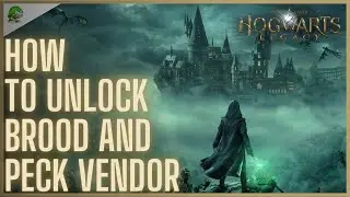 Hogwarts Legacy How to unlock Brood and Peck Vendor