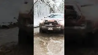 Toyota Tacoma 2023 Snow Mudding Trail!! #mudding #toyotatacoma #4x4offroad