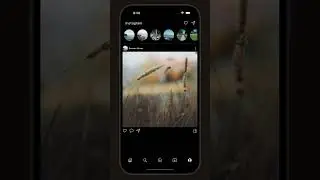 How to code Instagram in 30sec with Flutter 💪