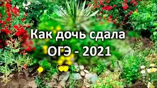 Семейное образование / Два выпускных / Где подрабатывает наша дочь / Как будет учиться сын