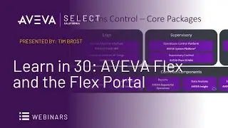 Learn in 30: AVEVA Flex and the Flex Portal