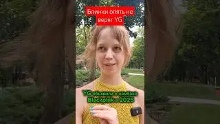 Блинки опять не верят YG 