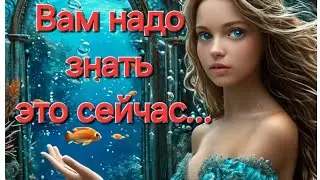 ВАМ НАДО ЗНАТЬ ЭТО СЕЙЧАС ... #события #будущее #tarot #таро #срочно #новости #поток