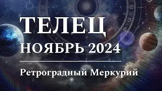 ТЕЛЕЦ - НОЯБРЬ 2024 ♉️ Астрологический прогноз, РЕТРОГРАДНЫЙ Меркурий