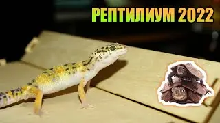 РЕПТИЛИУМ 2022 МОСКВА 12-13 НОЯБРЯ
